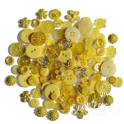 Treasure Box - Citrus Splash