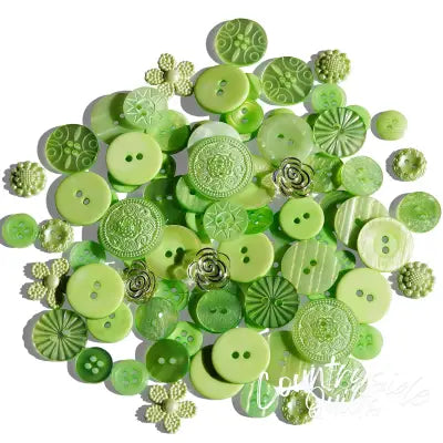 Treasure Box - Island Margarita