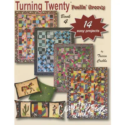 Turning Twenty Feelin Groovy Book 4
