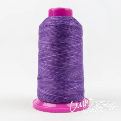 Tutti Variegated 50wt Cotton Thread 2286m Blueberry