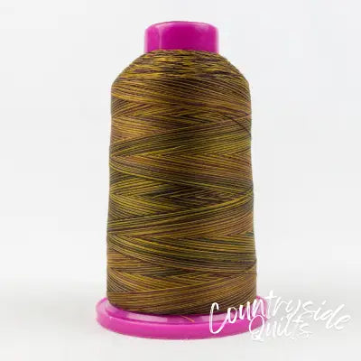 Tutti Variegated 50wt Cotton Thread 2286m Box Turtle