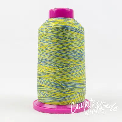 Tutti Variegated 50wt Cotton Thread 2286m Bright Day