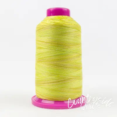 Tutti Variegated 50wt Cotton Thread 2286m Citrus