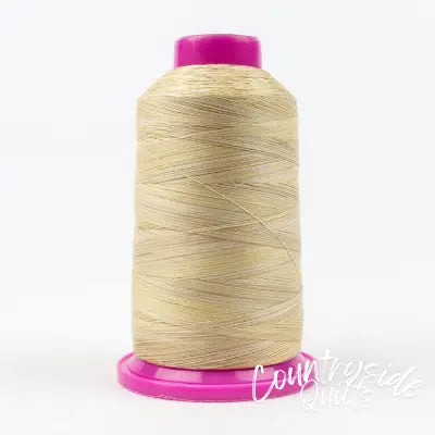 Tutti Variegated 50wt Cotton Thread 2286m Fall Leaves