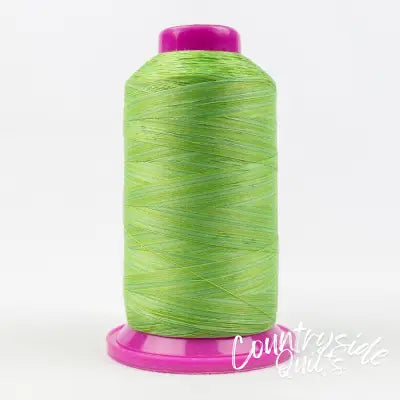 Tutti Variegated 50wt Cotton Thread 2286m Grass
