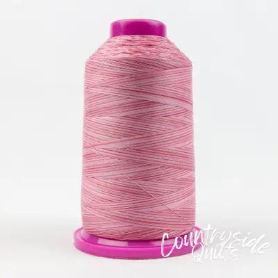 Tutti Variegated 50wt Cotton Thread 2286m Hibiscus