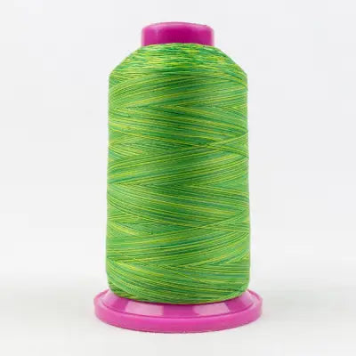 Tutti Variegated 50wt Cotton Thread 2286m Leaves