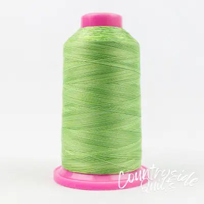 Tutti Variegated 50wt Cotton Thread 2286m Lime