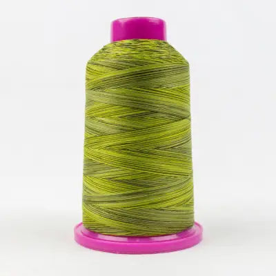 Tutti Variegated 50wt Cotton Thread 2286m Moss