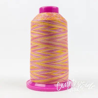 Tutti Variegated 50wt Cotton Thread 2286m Pansy