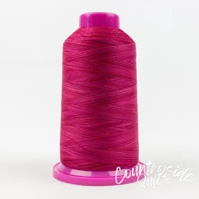 Tutti Variegated 50wt Cotton Thread 2286m Roses