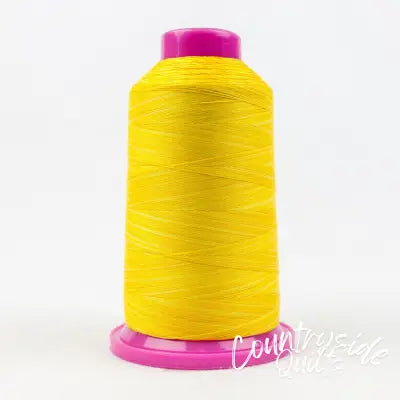 Tutti Variegated 50wt Cotton Thread 2286m Sunny