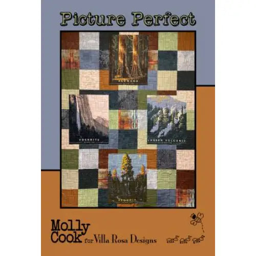 Villa Rosa Designs - Picture Perfect - Post Card Quilt