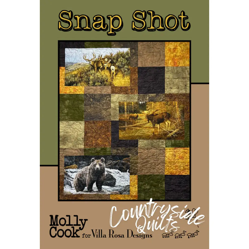 Villa Rosa Designs - Snap Shot - Post Card Quilt Pattern
