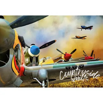 Vintage Airplanes Panel 20in x 14in