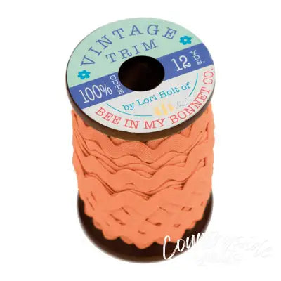 Vintage Trim Pumpkin 3/8in x 12yd