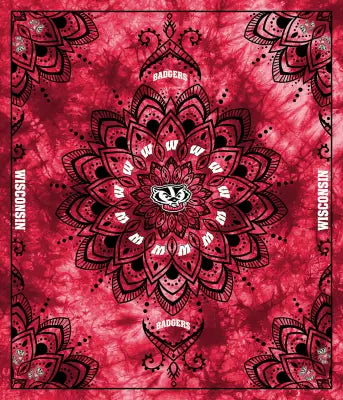 Wisconsin Collegiate Tapestry-48in x 56in