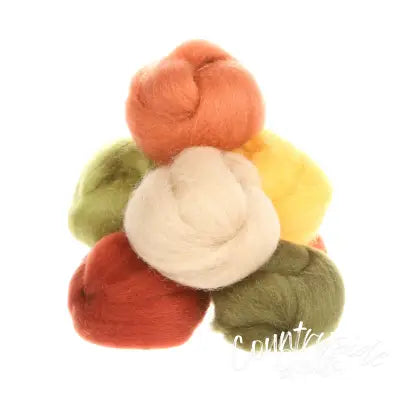 Wool Roving Asst Autumn