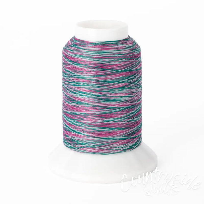 Woolly Nylon #VA101 - Pink & Green Variegated Mini Cone