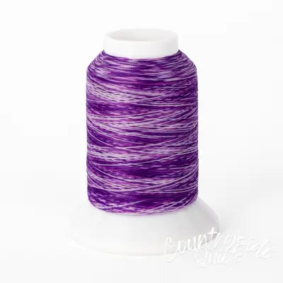 Woolly Nylon #VA106 - Variegated Purple Mini Cone