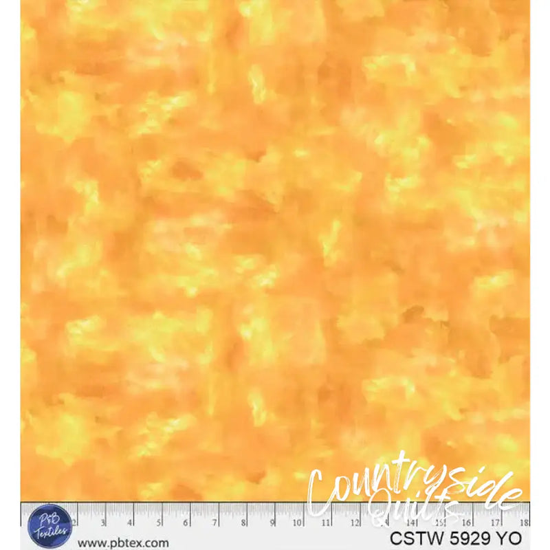 Yellow Orange Color Stories Cotton Wideback Fabric per yard